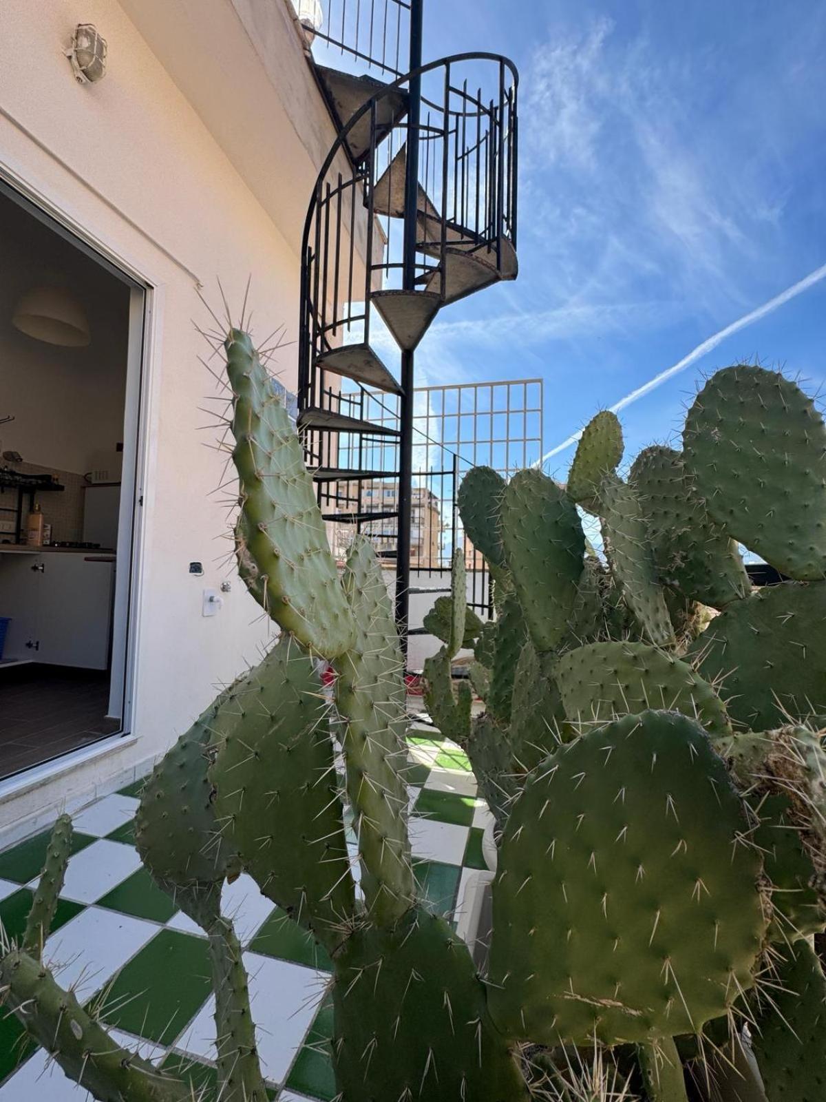 Apartmán Casa Bianca Vacanze Palermo Exteriér fotografie